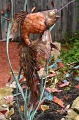 SFaire_4-2017 (30)